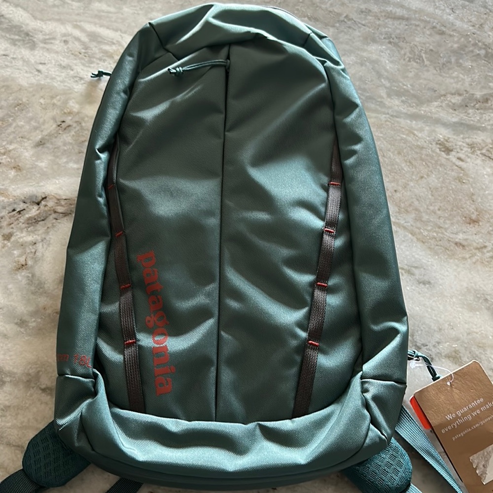 Patagonia Bag- NWT